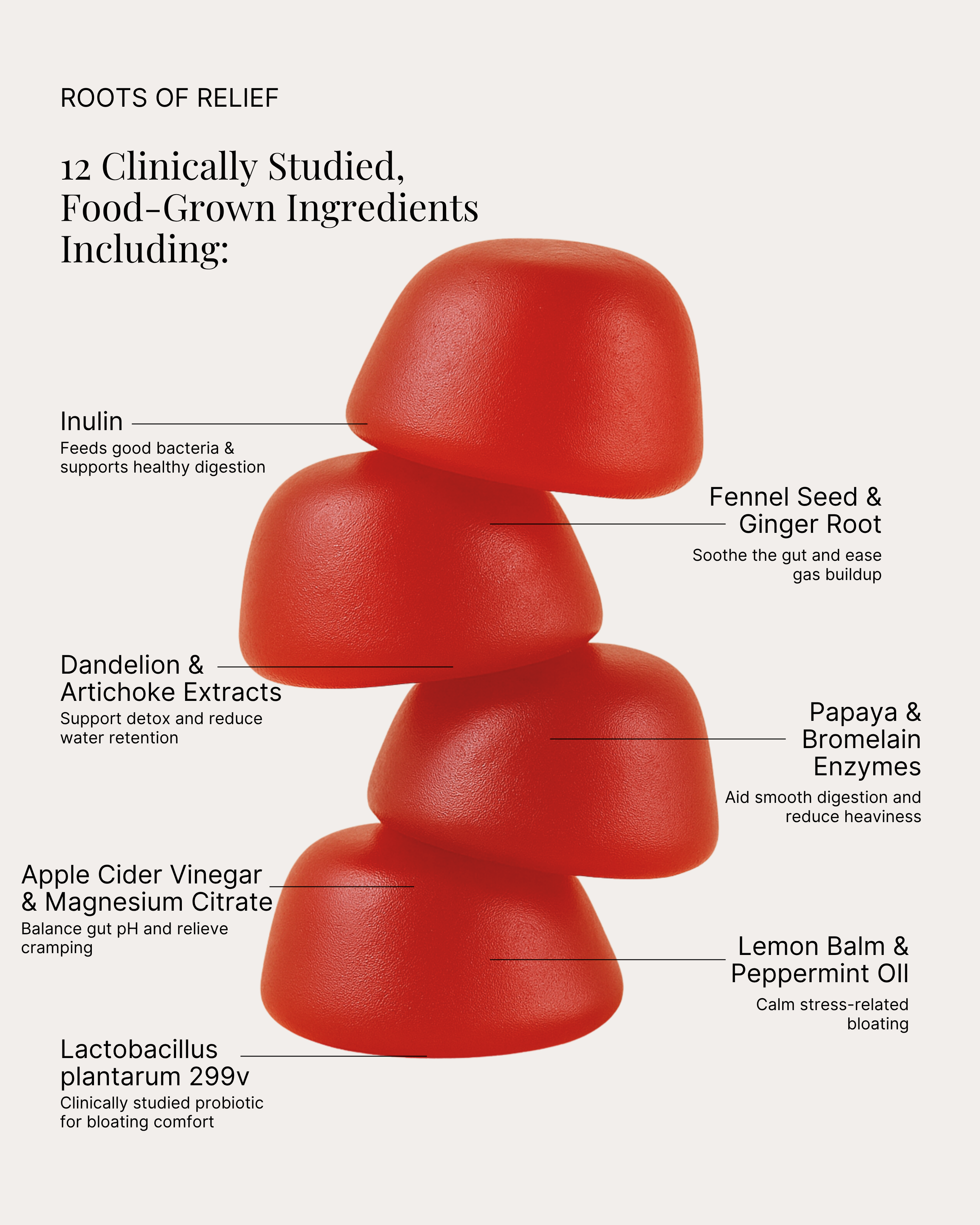 Bloating Relief & Digestion Probiotic Gummies